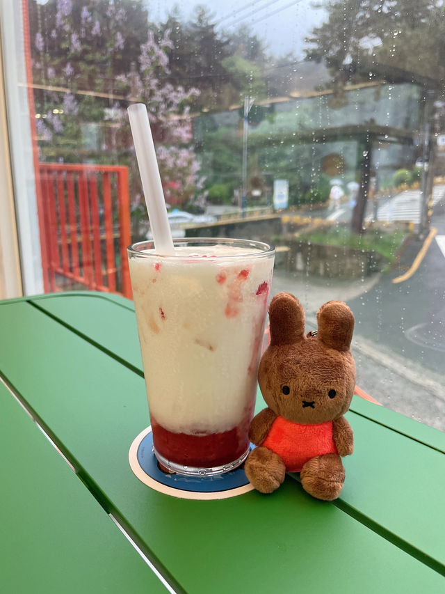 ｜韓國｜釜山影島Miffy Cafe-童心爆發的海景兔兔咖啡廳