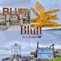 Bluff: New Zealand's Southernmost Town! 🌬️🚢