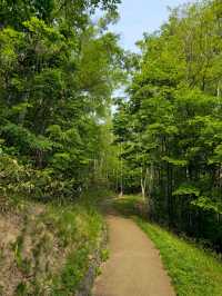 해외여행 삿포로 조망 좋은 旭山記念公園