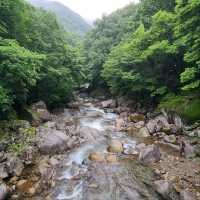 Nature & Vibes Near Sansuhwa Pension