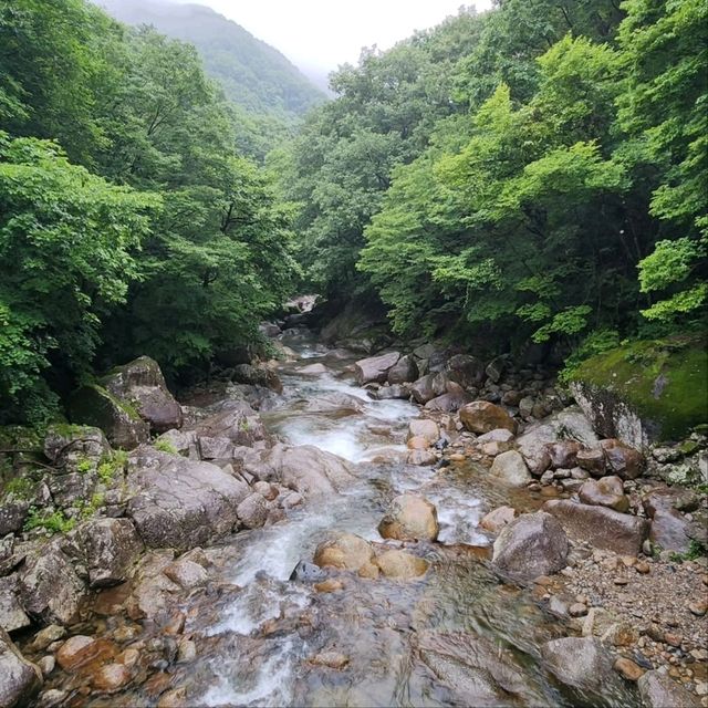 Nature & Vibes Near Sansuhwa Pension