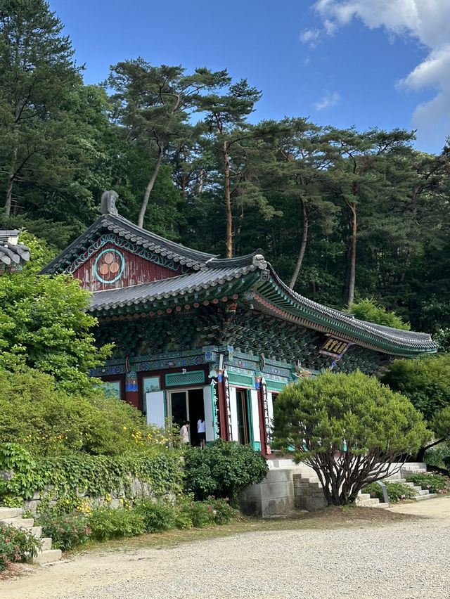 고즈넉한 강원도 홍천의 🏝️깨끗한 대자연을 느끼기에 좋은 사찰여행 추천여행지💚