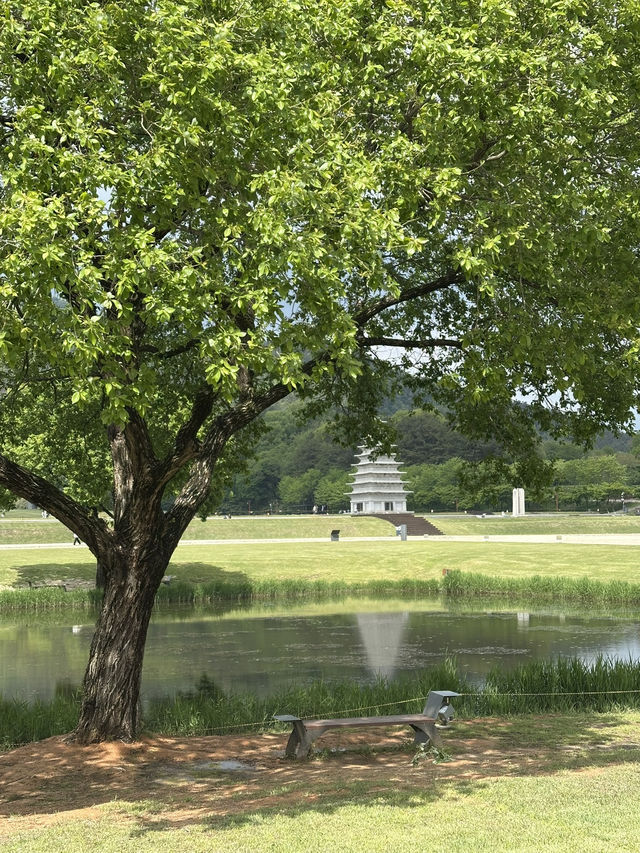 한국 유네스코 세계문화 유산의 위엄🇰🇷 익산 미륵사지