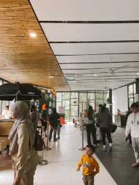 Sip, Shop & Savor: The BOH Tea Boutique Experience