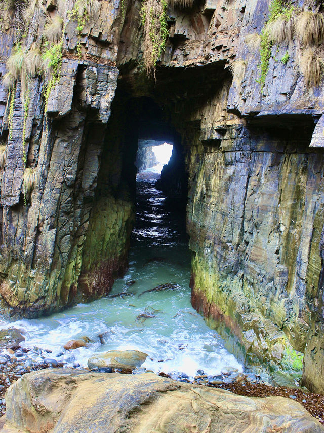Echoes from the Edge: Walking the wild cliffs of Tasmania
