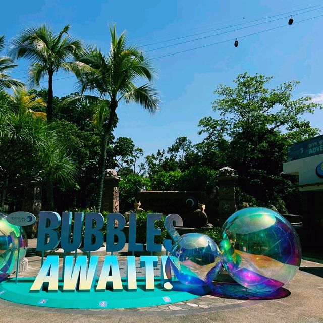 新加坡聖淘沙水樂園遊玩攻略，適合夏日打卡遊玩