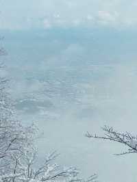 🚡空と海をつなぐ絶景旅「弥彦山ロープウェイ」で五感が満たされるひととき