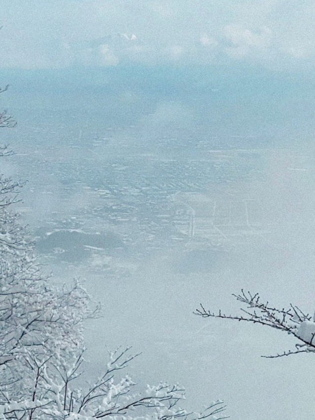 🚡空と海をつなぐ絶景旅「弥彦山ロープウェイ」で五感が満たされるひととき