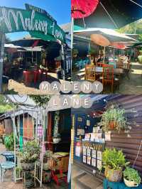 Sunshine Coast Escape: One-Day Trip to Montville & Mooloolaba🌿🌅