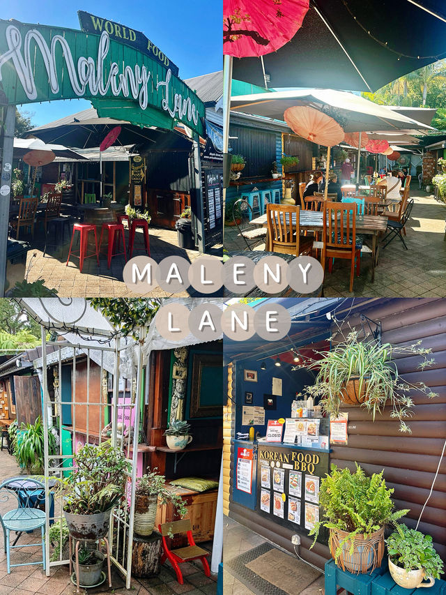 Sunshine Coast Escape: One-Day Trip to Montville & Mooloolaba🌿🌅