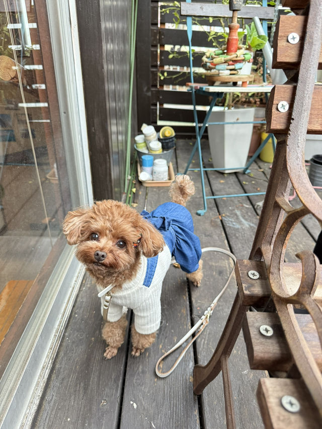 【神奈川】旅好き集まれ！お洒落カフェ