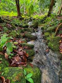 Hiking to Penang’s Hidden Glass House — With a Durian Surprise 