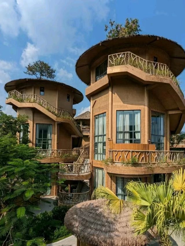 Jungle Meets Ocean – Where Water Thrills Bloom Under Canopies