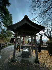 🛕A Spiraling Journey Through Time – The Wonder of Sazaedo Temple