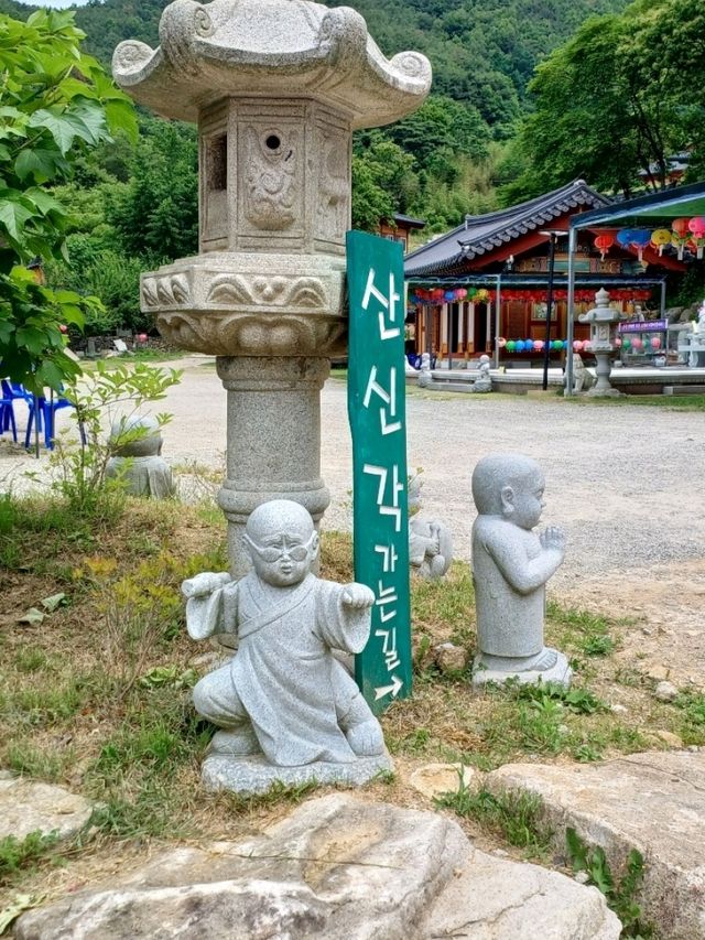 마음의 먼지를 털어내는 힐링 한 장소로 추천