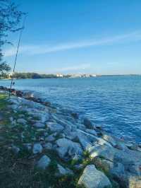 Walk, Breathe, Repeat: The Simple Joy of PD Waterfront