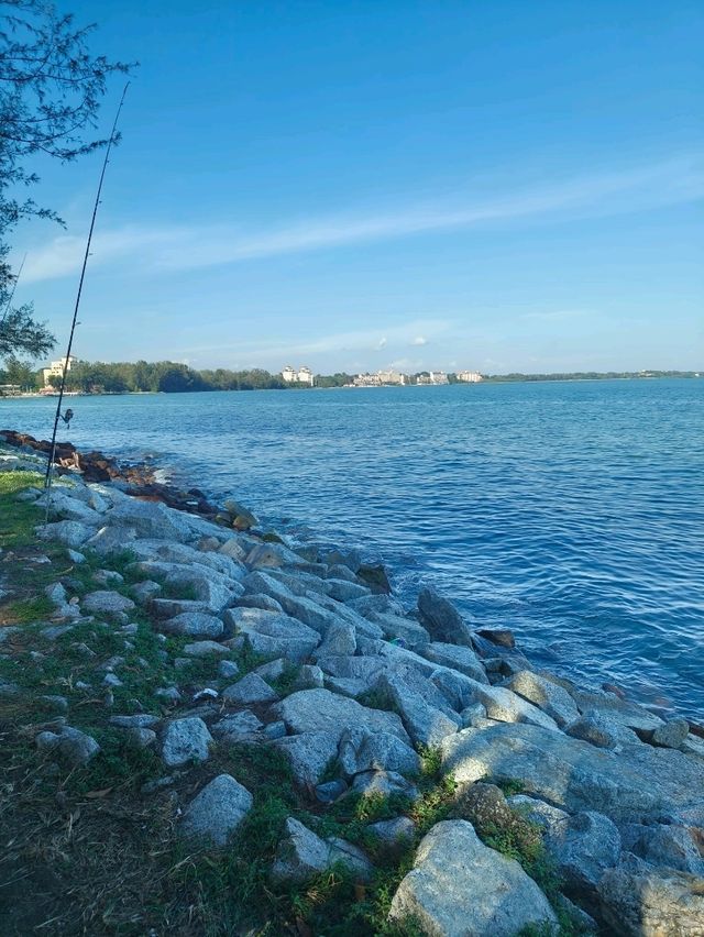 Walk, Breathe, Repeat: The Simple Joy of PD Waterfront