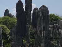Must Visit - Magical Sone Forest Yunnan , UNESCO site 