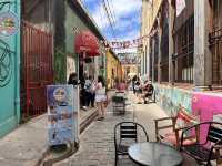 【Valparaíso｜アートと歴史が響き合う丘と海の街】