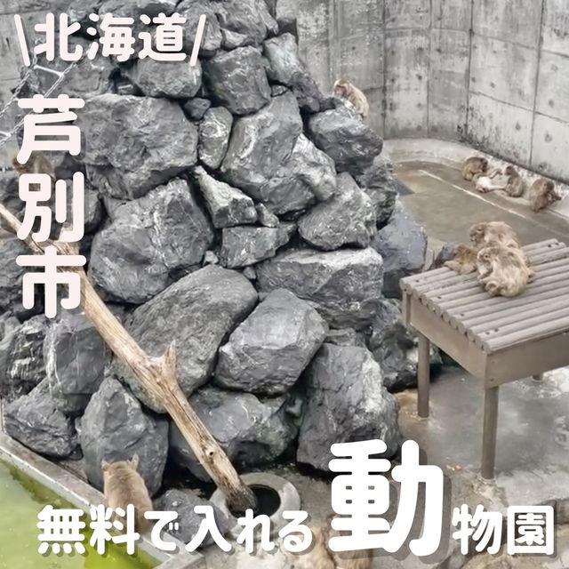 無料で見れる！動物園