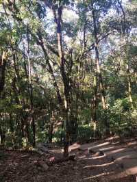 กิ่วแม่ปาน-ดอยอินทนนท์