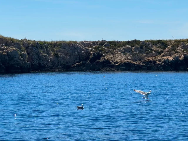 Revisiting Krk: My "Golden Island" Mediterranean Paradise! ☀️🏝️