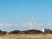 Daebu Bada Hyanggi Theme Park, Gyeonggi Province: A Vast Coastal Oasis for Relaxation and Recreation