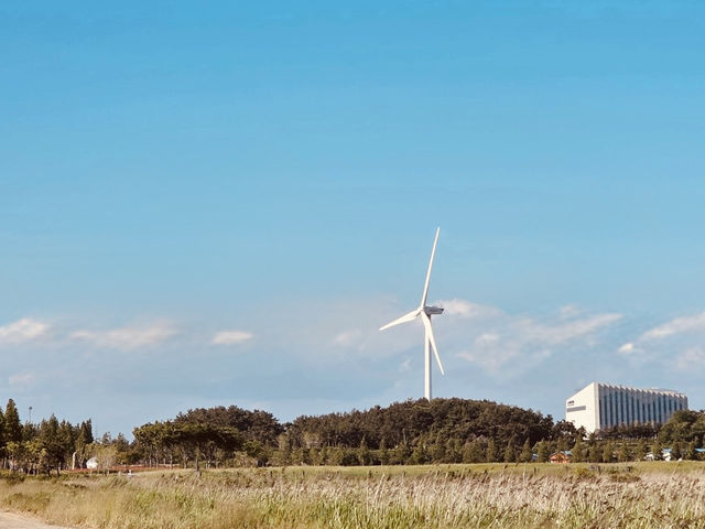 Daebu Bada Hyanggi Theme Park, Gyeonggi Province: A Vast Coastal Oasis for Relaxation and Recreation