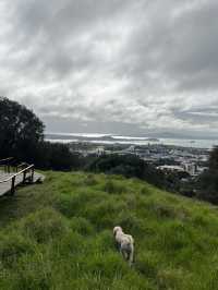 🏞️奧克蘭最高城市視角｜伊甸山 Mt Eden 🌋城市與火山的靜默對話