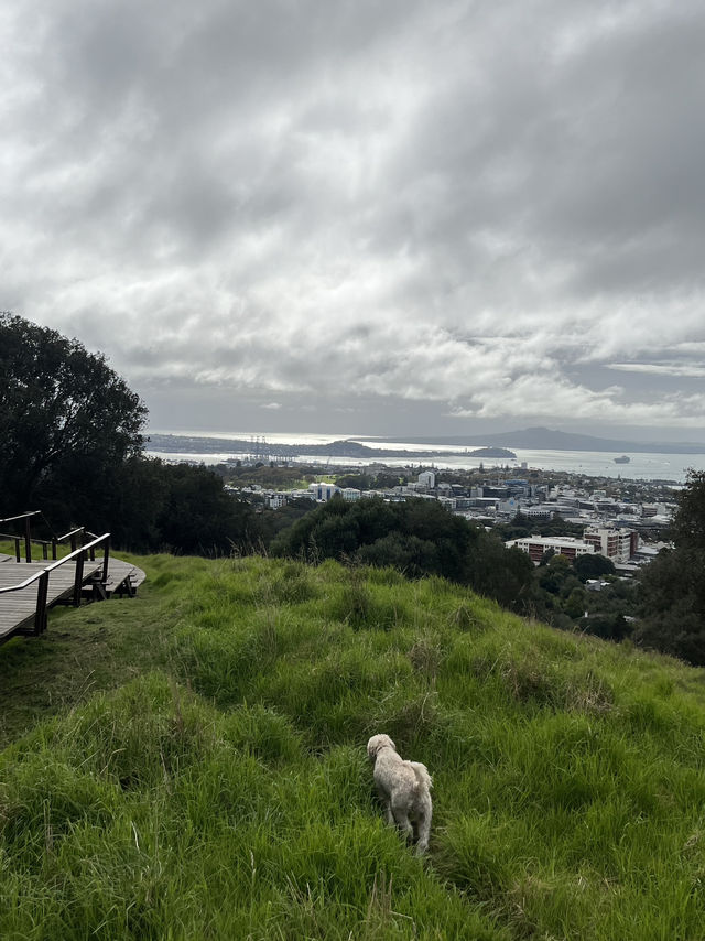 🏞️奧克蘭最高城市視角｜伊甸山 Mt Eden 🌋城市與火山的靜默對話