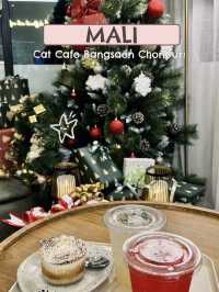 MALI CAT CAFE🍭