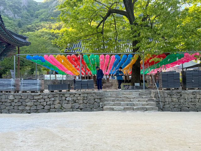 부안 당일치기 여행지로 딱인 내소사 🌳