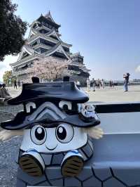 2025年4月初福岡追櫻之旅
