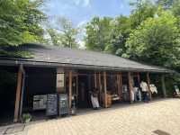 輕井澤星野溫泉 榆樹街小鎮