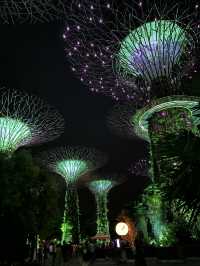 🌟 1 วันเต็ม ๆ ในสิงคโปร์…เมืองแห่งอนาคตและธรรมชาติ