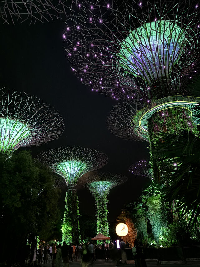 🌟 1 วันเต็ม ๆ ในสิงคโปร์…เมืองแห่งอนาคตและธรรมชาติ