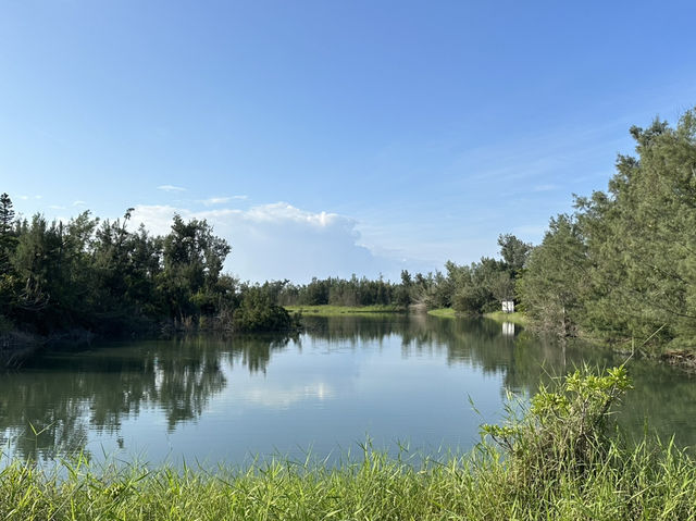 台東森林公園