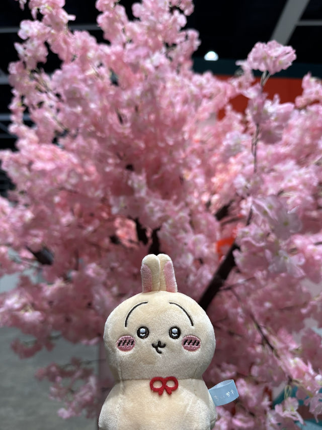 2025香港國際旅遊展6月版本🤣😂😆