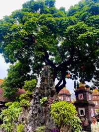 1,500년의 평온✨ 하노이 최고의 사원 – 짠꾸옥사원(Trấn Quốc Pagoda)