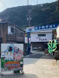 【佐賀・呼子】絶品イカ料理を味わいに行こう🦑