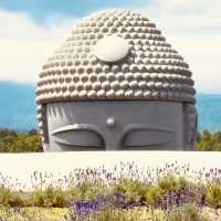 🌿 Solo Travel Escape: Lavender & Moai at Makomanai Takino Cemetery, Sapporo!