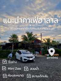ดนุภูม คาเฟ่ฟาร์ม จ.สงขลา อ.หาดใหญ่