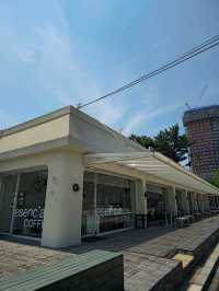 양양의 분위기 밝은 감성 카페 에센시아
