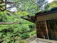 京都 | 友禪苑，紀念友禪染創始人誕辰300年的山水庭園
