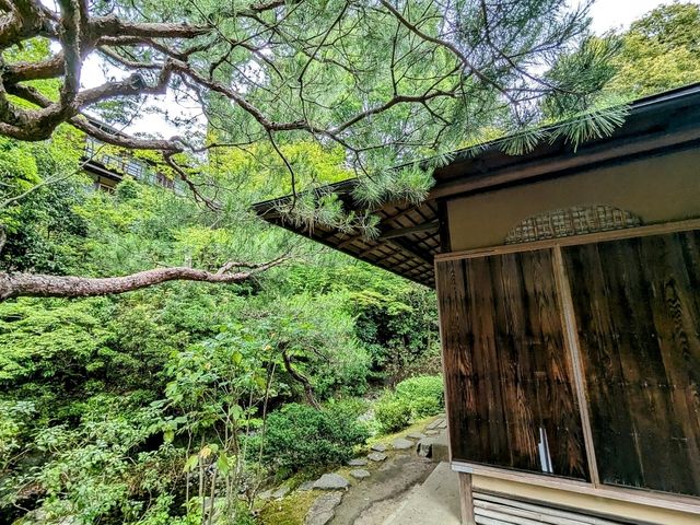 京都 | 友禪苑，紀念友禪染創始人誕辰300年的山水庭園