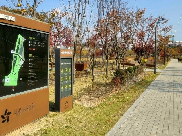 루프탑 야외수영장이 있는 에스알 호텔 마곡 (SR 호텔 서울 마곡) 디럭스 트윈룸 호캉스
