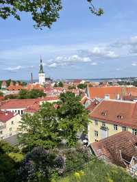 🛳️✨ 헬싱키에서 떠나는 동화 속 하루 여행 Tallinn 당일치기 투어 가이드 🇪🇪💙