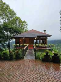 First Valley Coffee Estate | Chiangmai 