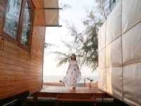 Mollusc Glamping