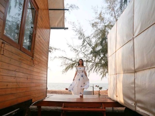 Mollusc Glamping